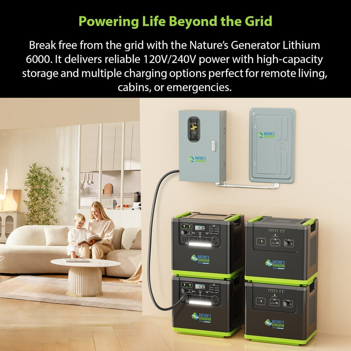 30A Automatic Generator Transfer Switch - Home Power Tech
