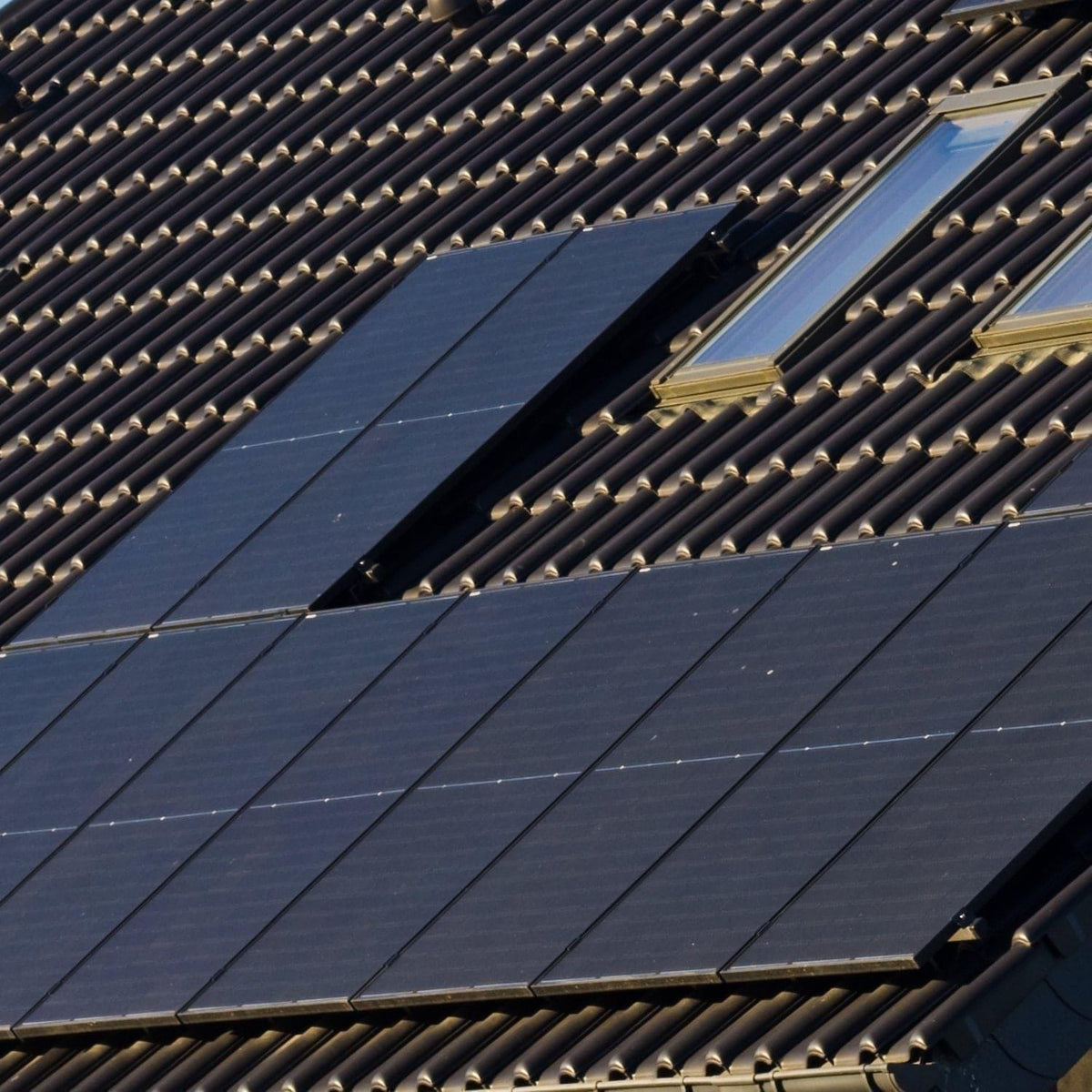 Rigid 440 Watt Bifacial Solar Panels (2 Pack) - Home Power Tech