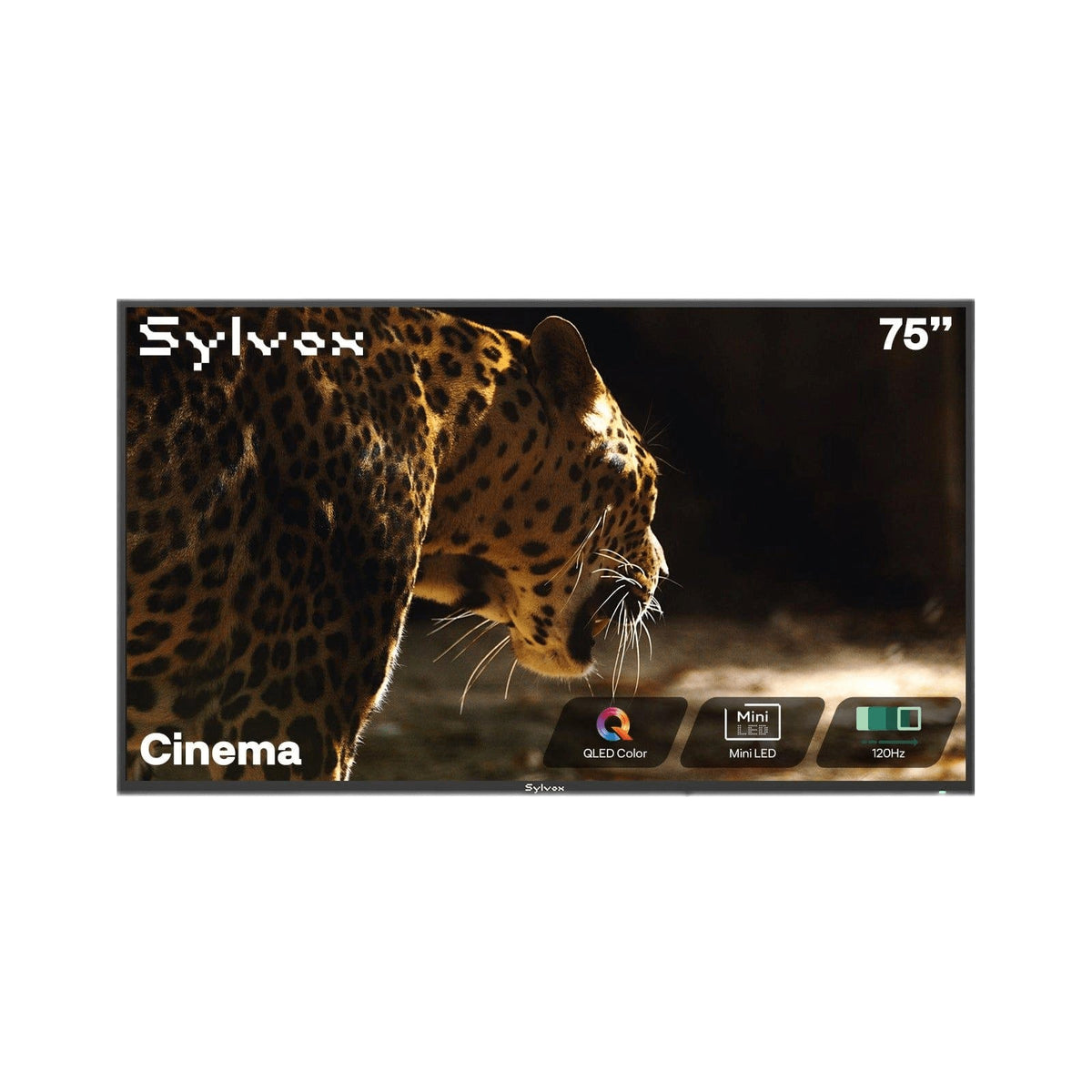 Sylvox Cinema 75" Helio QLED Outdoor TV-2026 Model (120HZ & 2000Nits) - Home Power Tech