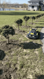 Yarbo 4 - in - 1 Yard Robot with Lawn Mower Pro - Home Power Tech